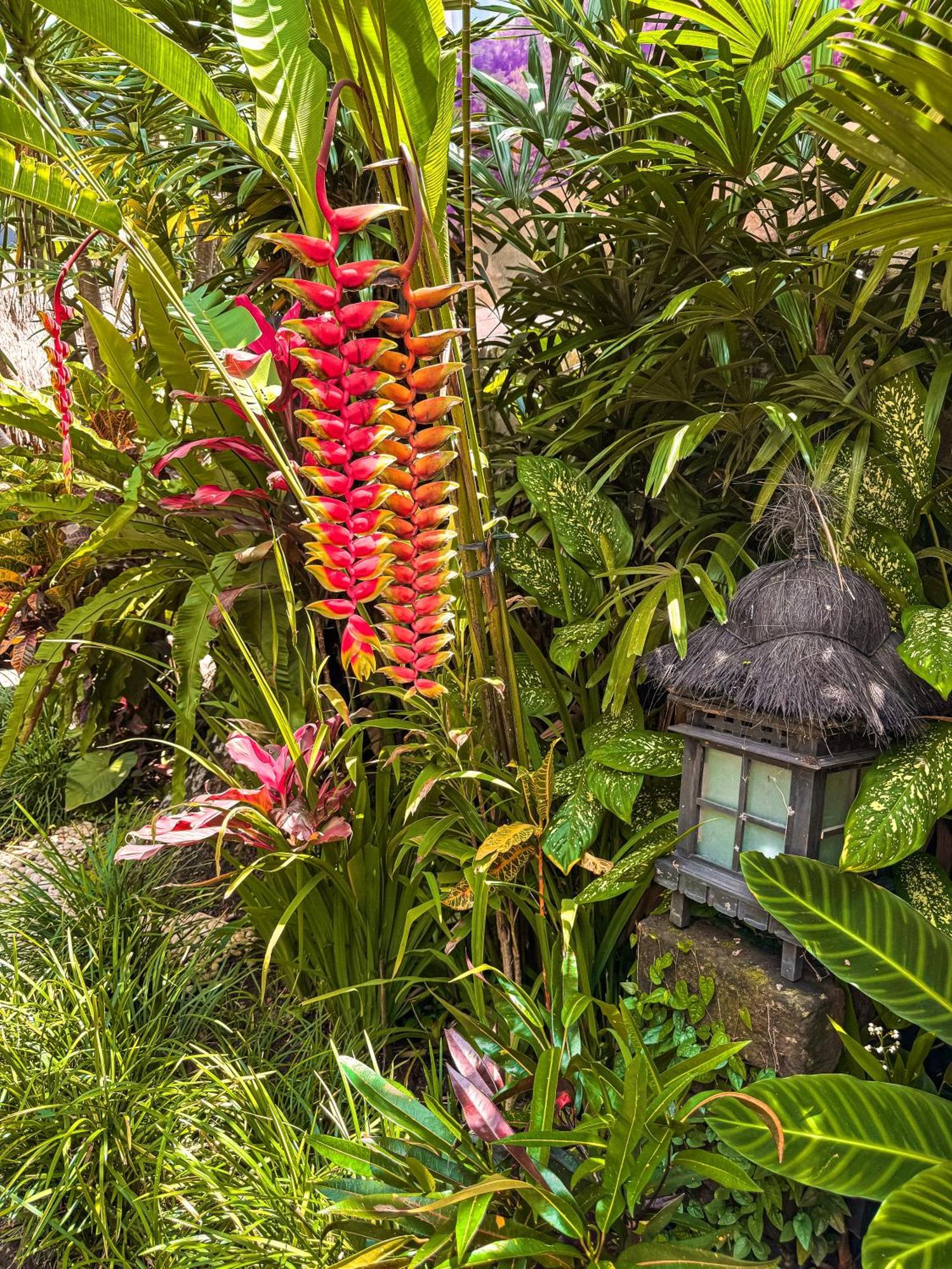 Bali Maison อูบุด ภายนอก รูปภาพ